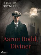 Aaron Rodd, Diviner - Elektronická kniha