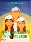 Aunt Jane's Nieces in The Red Cross - Elektronická kniha