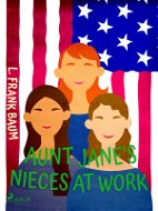 Aunt Jane's Nieces at Work - Elektronická kniha