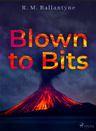 Blown to Bits - Elektronická kniha