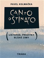 Canto ostinato - Elektronická kniha