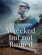 Wrecked but not Ruined - Elektronická kniha