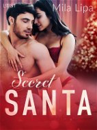 Secret Santa – Erotic Christmas Story - Elektronická kniha