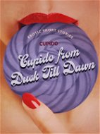 Cupido from Dusk Till Dawn: A Collection of the Best Erotic Short Stories - Elektronická kniha