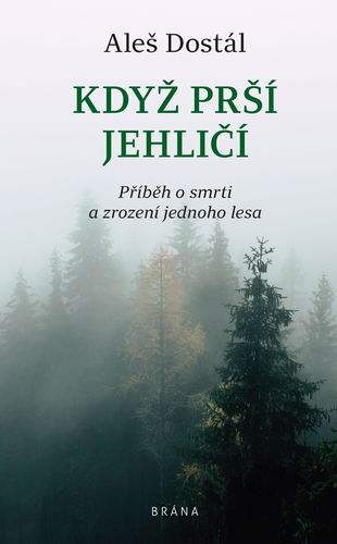 Když prší jehličí - Elektronická kniha - Hlavní obrázek
