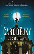 Čarodějky ze Sanctuary - Elektronická kniha