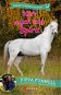 Kůň mých snů Spirit - Elektronická kniha