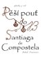 Pěší pouť do Santiaga de Compostela - Elektronická kniha