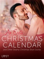 An Erotic Christmas Calendar and Other Steamy Christmas Short Stories - Elektronická kniha