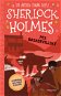 Sherlock Holmes – Pes baskervillský - Elektronická kniha