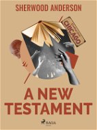 A New Testament - Elektronická kniha