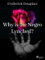 Why is the Negro Lynched? - Elektronická kniha