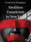 Abolition Fanaticism in New York - Elektronická kniha
