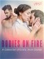 Bodies on Fire: A Collection of Erotic Short Stories - Elektronická kniha