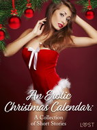 An Erotic Christmas Calendar: A Collection of Short Stories - Elektronická kniha
