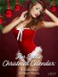 An Erotic Christmas Calendar: A Collection of Short Stories - Elektronická kniha