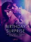 Birthday Surprise - 18 Sexy Erotic Stories from Erika Lust - Elektronická kniha
