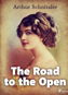 The Road to the Open - Elektronická kniha
