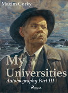 My Universities, Autobiography Part III - Elektronická kniha