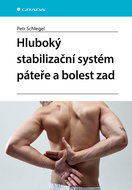 Deep spinal stabilization system and back pain - Ebook