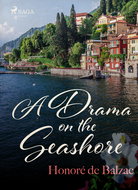 A Drama on the Seashore - Ebook