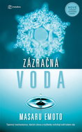 Miracle Water - Ebook