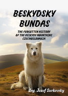 Beskydsky bundas - Ebook