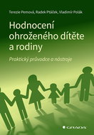 Assessment of the child and family at risk - Ebook
