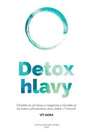 Detox hlavy - Elektronická kniha