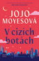 V cizích botách - Elektronická kniha