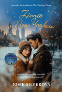Winter in New York - Ebook