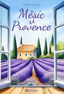 Měsíc v Provence - Elektronická kniha