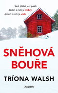 Sněhová bouře - Elektronická kniha