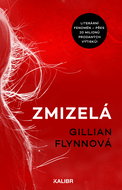 Zmizelá - Elektronická kniha