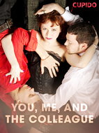 You, Me, and the Colleague - Ebook