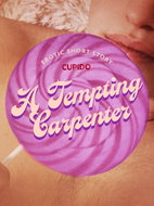 A Tempting Carpenter - Erotic Short Story - Ebook