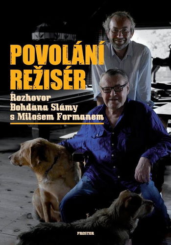 Povolání režisér - Elektronická kniha - Hlavní obrázek