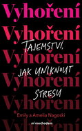 Vyhoření: Tajemství, jak uniknout stresu - Elektronická kniha