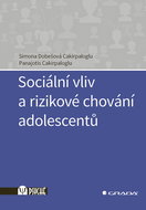 Social influence and risk behaviour in adolescents - Ebook