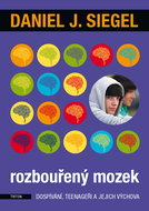Rozbouřený mozek - Elektronická kniha