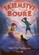 Secrets from the storm - Ebook