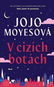 V cizích botách - Elektronická kniha