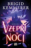 Vzepři se noci - Elektronická kniha