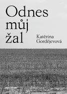Odnes můj žal - Elektronická kniha