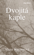 Dvojitá kaple - Elektronická kniha