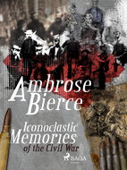 Iconoclastic Memories of the Civil War - Ebook