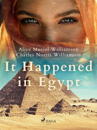 It Happened in Egypt - Ebook