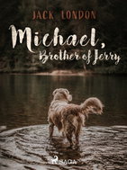 Michael, Brother of Jerry - Ebook