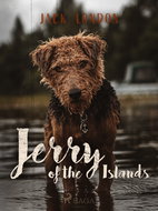 Jerry of the Islands - Ebook