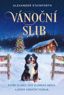 Christmas promise - Ebook